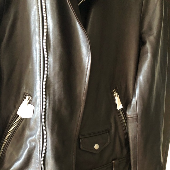 All Saints Brown Leather Biker Jacket - NWT - XS - Picture 4 of 13